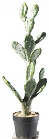 Τεχνητό Φυτό Φραγκοσυκιά Opuntia 8101-6 76cm Green Supergreens Polyethylene
