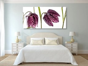 Εικόνα καρό λουλούδι καμπάνα - 100x50