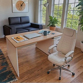 Καρέκλα γραφείου διευθυντή Sonar pu λευκό 61x57x120 εκ.