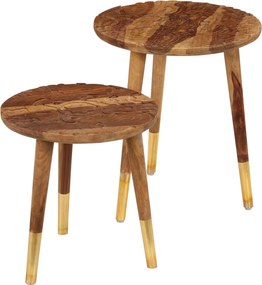 vidaXL Τραπεζάκια Σαλονιού 2 τεμ. από Μασίφ Ξύλο