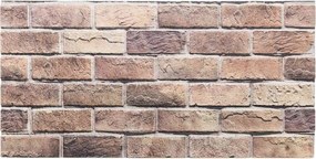 vidaXL Πάνελ τοίχου 10 pcs Καφέ και Γκρίζο 100 x 50 cm Αφρός EPS