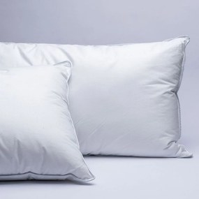 Μαξιλάρια Ύπνου Αντιμικροβιακά White Comfort Reve (Σετ 2τμχ) 1000gr White Palamaiki 50Χ70 Microfiber
