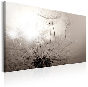 Πίνακας - Beautiful Summer: Dandelions 120x80