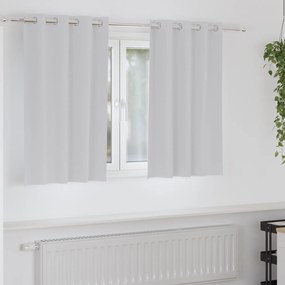 vidaXL Κουρτίνες 2 pcs Ανοιχτό Γκρι 140 x 140 cm Πολυεστέρας