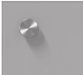 vidaXL Πίσω Πάνελ Κουζίνας 2 pcs Ανοιχτό γκρι 100 x 40 cm