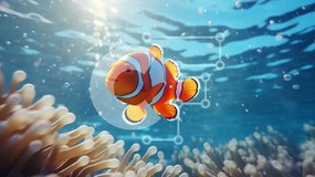 Intra Συλλεκτικό Ξύλινο Παζλ Plywood  4mm - Ψάρι κλόουν που κολυμπά σε έναν κοραλλιογενή ύφαλο Σε Ξύλινο Κουτί - Διαστάσεις: 10x10 cm – 25 κομμάτια