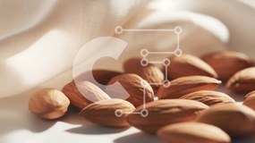 Σετ των 2 Intra Συλλεκτικό Ξύλινο Παζλ Plywood 4mm - Αμύγδαλα σε ύφασμα Σε Ξύλινο Κουτί - Διαστάσεις: 10x10 cm – 25 κομμάτια