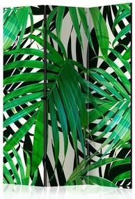 Διαχωριστικό με 3 τμήματα - Tropical Leaves [Room Dividers]