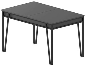 Τραπέζι Επεκτεινόμενο Pal 855DTE4603 132/170x80x76cm Anthracite-Black Particle Board, Metal