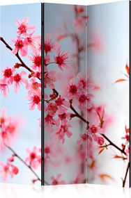 Διαχωριστικό με 3 τμήματα - Symbol of Japan - sakura flowers [Room Dividers]