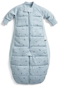 Υπνόσακος ErgoPouch Dragonflies Sleep Suit 2.5Tog 3-12m