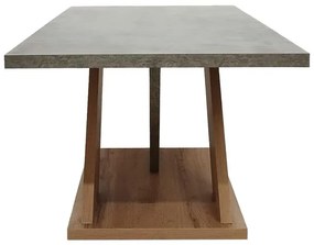 Τραπεζάκι Σαλονιού Solange σε Γκρι - Sonoma 110x55x47.5εκ. 110x55x47.5 εκ.