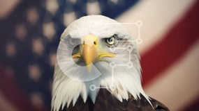 Σετ των 2 Intra Συλλεκτικό Ξύλινο Παζλ Plywood  4mm - Φαλακρός αετός κατά της αμερικανικής σημαίας Σε Ξύλινο Κουτί - Διαστάσεις: 10x10 cm – 25 κομμάτια