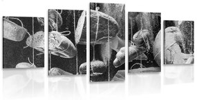 Ζύμη με εικόνα 5 μερών σε σχοινί σε ασπρόμαυρο - 200x100