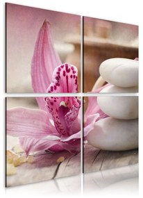 Πίνακας - Orchid and zen 40x40