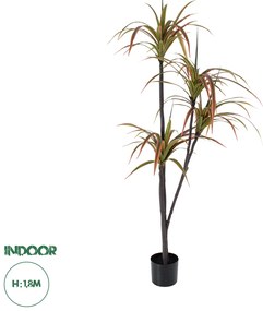 20372 GloboStar® Artificial Garden DRAGON BLOOD TREE 20372 - Τεχνητό Διακοσμητικό Φυτό Δράκαινα Υ180cm