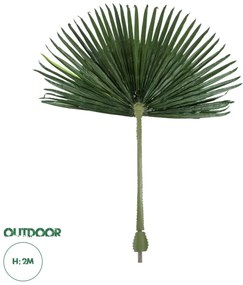 20171 GloboStar®  Artificial Garden WASHINGTONIA FILIFERA PALM LEAF 20171 Τεχνητό Διακοσμητικό Φύλο Φοινικόδεντρου Βεντάλια Π170 x Υ200cm