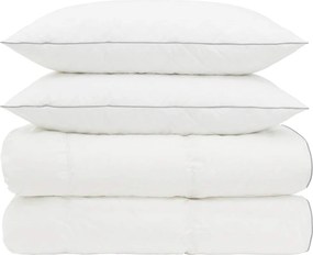 vidaXL Σετ πάπλωμα 90% χήνας FULDA 3 τμχ. 200 x 200 cm Όλες οι εποχές