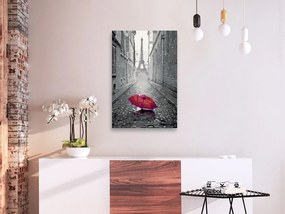 Πίνακας ζωγραφικής με αριθμούς Paris: Red Umbrella - 40x60