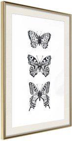 Αφίσα - Butterfly Collection III A - 30x45 - Χρυσό - Με πασπαρτού