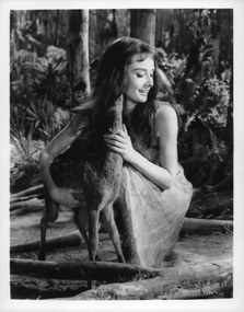 Φωτογραφία Audrey Hepburn In 'The Green Mansions', Archive Photos