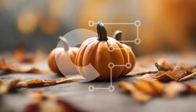 Intra Συλλεκτικό Ξύλινο Παζλ Plywood  4mm - Φθινοπωρινές κολοκύθες σε ξύλινη επιφάνεια Σε Ξύλινο Κουτί - Διαστάσεις Puzzle: 10x10 cm – 25 κομμάτια