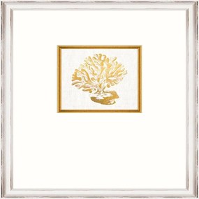 Κάδρο Coral Fa13362 35X45Cm White-Gold Mindthegap Κάθετοι Wood