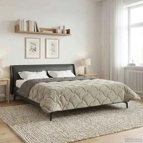 vidaXL Κουβέρτα ολόκληρου του χρόνου 220 x 260 cm Όχι
