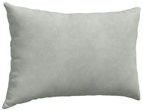 vidaXL Μαξιλάρι Καναπέ 2 pcs Ανοιχτό γκρι 60 x 40 cm