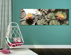 Εικόνα λουλούδι λωτού στον κήπο - 150x50