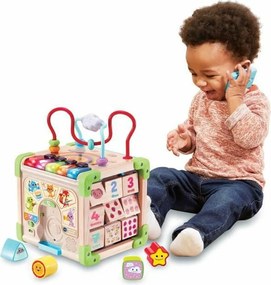 Κέντρο δραστηριοτήτων Vtech Baby 80-617105 Καφέ Πολύχρωμο