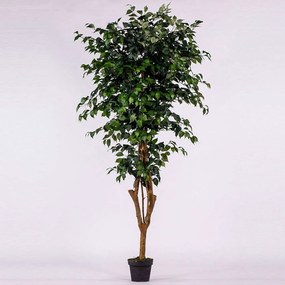 Τεχνητό Δέντρο Φίκος 0240-6 195cm Green Supergreens Πολυαιθυλένιο,Ύφασμα