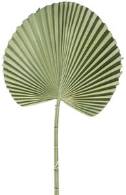 Τεχνητό Φύλλο Φοίνικα Licuala 3271-7 52cm Green Supergreens Πολυαιθυλένιο