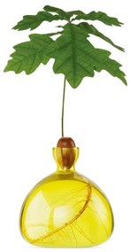 Βάζο Για Ανάπτυξη Καρπού Βελανιδιού 001-16 10x10cm Sunlight Yellow Ilex Studio Γυαλί