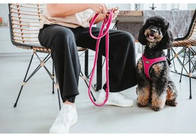 Λουρί Σκύλου Hunter Comfort Φούξια XS 35-37 cm