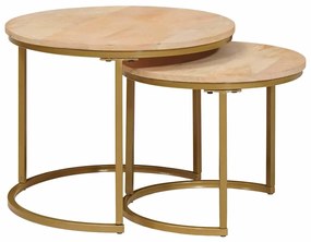 Τραπεζάκια Καφέ Στερεών 2 pcs Μασίφ ξύλο μάνγκο και χάλυβας