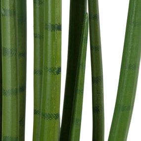 GloboStar® Artificial Garden SANSEVIERIA CYLINDRICA 20211 Τεχνητό Διακοσμητικό Φυτό Σανσεβιέρια Υ160cm