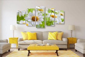 Εικόνα 5 μερών ανοιξιάτικο λιβάδι γεμάτο λουλούδια - 200x100