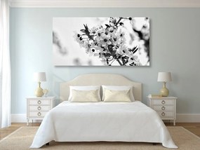 Εικόνα με άνθη κερασιάς σε ασπρόμαυρο - 120x60