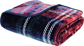 Κουβέρτα Βελουτέ Μονή (160x240) Das Home 1385 Multicolor