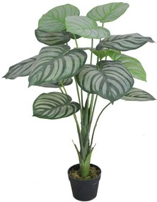 Τεχνητό Φυτό Καλαθέα Setosa 4070-6 28x85cm Green Supergreens Πολυαιθυλένιο