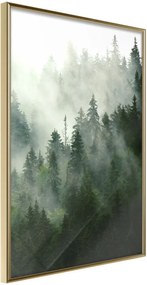 Αφίσα - Steaming Forest - 30x45 - Χρυσό - Χωρίς πασπαρτού