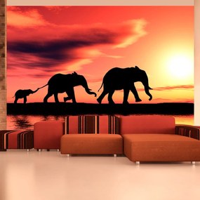 Φωτοταπετσαρία - elephants: family 200x154