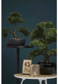 Emerald Τεχνητό Ficus Mini Μπονσάι Πράσινο 47 εκ. 420006