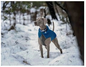 Παλτό Σκύλου Red Dingo Puffer Τυρκουάζ 25 cm