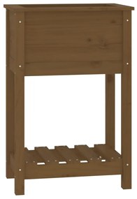 vidaXL Ζαρντινιέρα με Ράφι Μελί 54x34,5x81 εκ. από Μασίφ Ξύλο Πεύκου