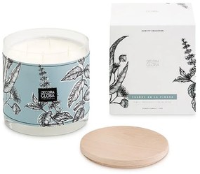 Scented Candles DECORAGLOBA Sueños en la Pinada, 1550gr DG- VF 1550 Sueños en la Pinada-00N3