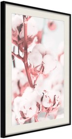 Αφίσα - Cotton Flowers - 30x45 - Μαύρο - Με πασπαρτού