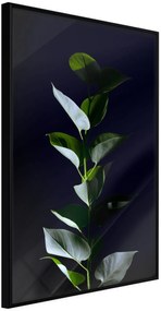 Αφίσα - Floral Elegance - 30x45 - Μαύρο - Χωρίς πασπαρτού