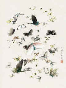 Αναπαραγωγή Butterflies & Moths (2 of 2) - Katsushika Hokusai, (30 x 40 cm)